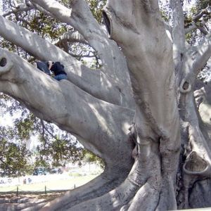 Meet your Posher, Therese